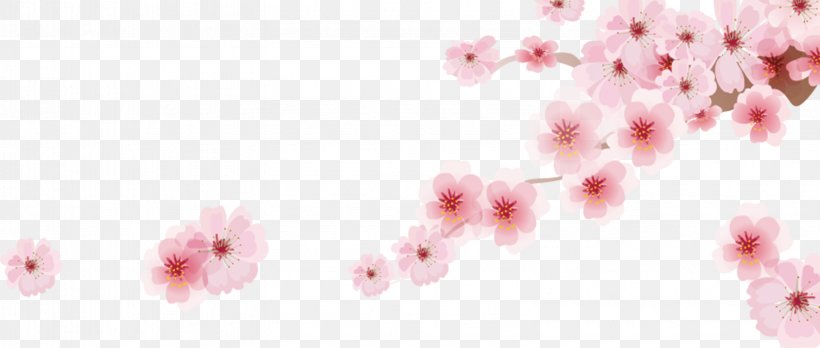 Cherry Blossom Cartoon, PNG, 3161x1342px, Cherry Blossom, Blossom, Cartoon, Drawing, Floral Design Download Free