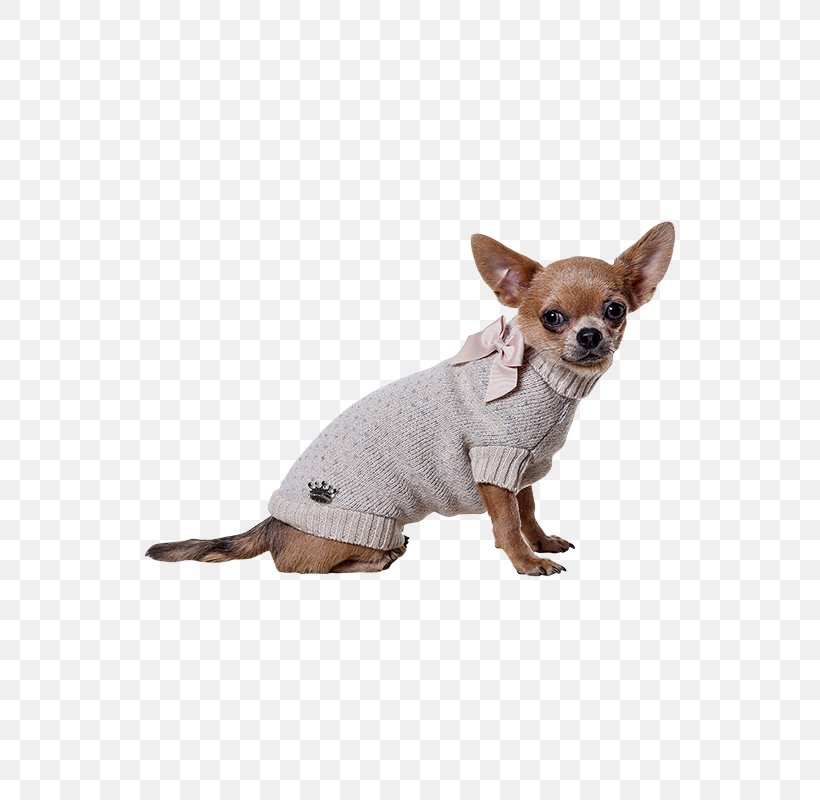 Dog Breed Chihuahua Russkiy Toy Puppy Companion Dog, PNG, 600x800px, Dog Breed, Breed, Carnivoran, Chihuahua, Clothing Download Free