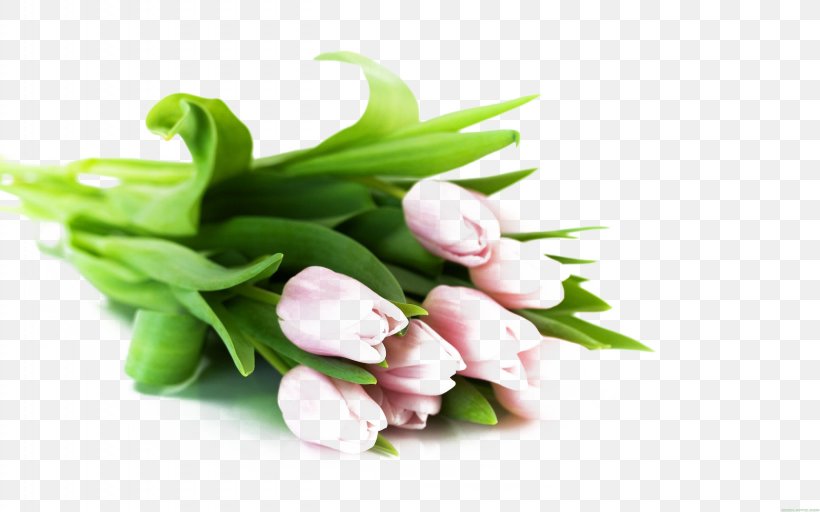 Flower Bouquet Tulip White Wallpaper, PNG, 2560x1600px, Flower Bouquet, Color, Cut Flowers, Floral Design, Floristry Download Free