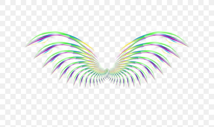 Wing Feather Icon, PNG, 650x487px, Wing, Color, Feather, Heart, Pink Download Free