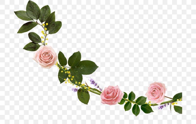 Cut Flowers Garden Roses Floral Design Floristry, PNG, 705x518px, Flower, Blossom, Branch, Cut Flowers, Floral Design Download Free