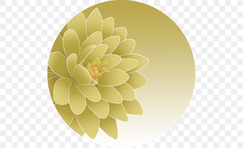 Dahlia Floral Design Petal Flower, PNG, 500x500px, Dahlia, Floral Design, Floristry, Flower, Flowering Plant Download Free