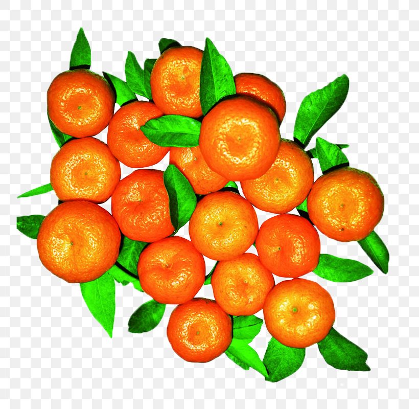 Mandarin Orange Citrus Leiocarpa Tangerine Fruit, PNG, 800x800px, Mandarin Orange, Auglis, Bitter Orange, Calamondin, Citrus Download Free