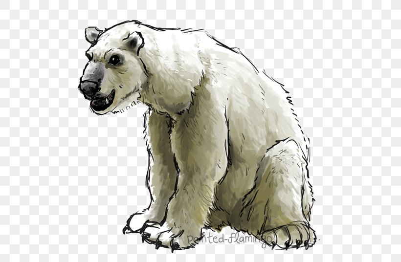 Polar Bear Carnivora Mammal Organism, PNG, 550x536px, Bear, Animal, Carnivora, Carnivoran, Mammal Download Free