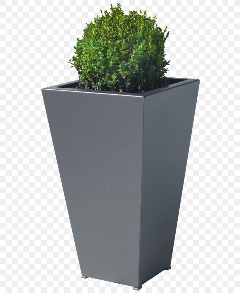 Flowerpot Herb Rectangle, PNG, 567x1000px, Flowerpot, Grass, Herb, Plant, Rectangle Download Free