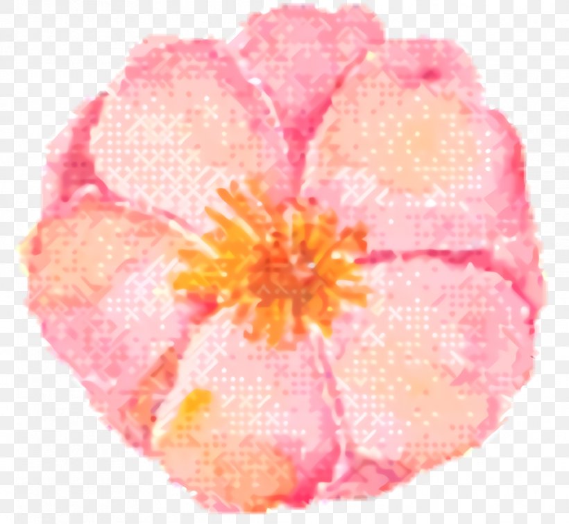 Pink Flower Cartoon, PNG, 1036x956px, Pink M, Begonia, Flower, Peach, Perennial Plant Download Free