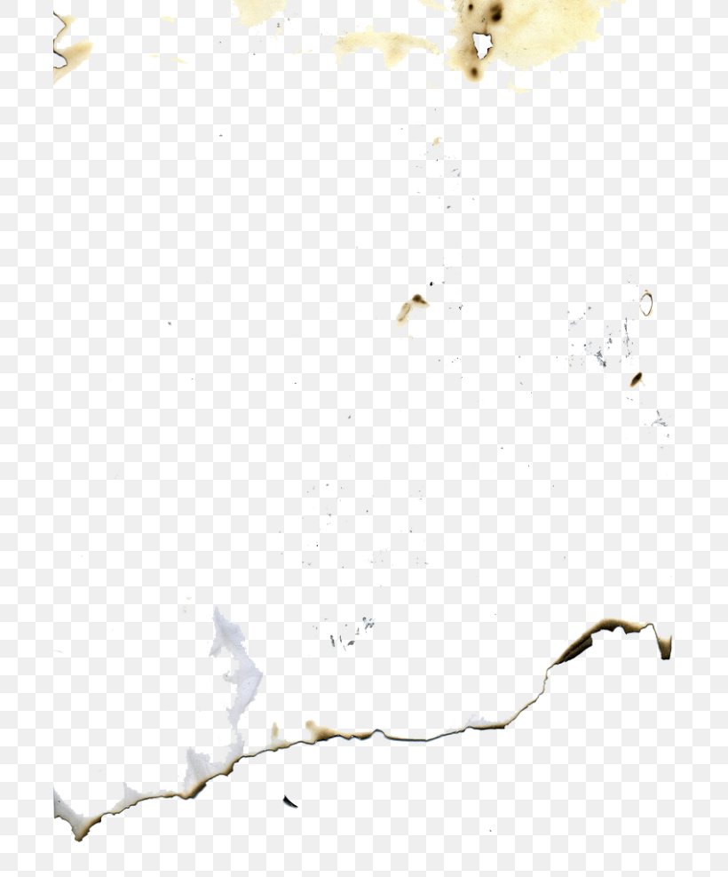 Twig Background, PNG, 700x987px, Paper, Branch, Paper Craft, Stain, Twig Download Free