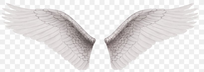 Wing White Clip Art, PNG, 2598x928px, Wing, Black And White, Designer, Feather, Monochrome Download Free