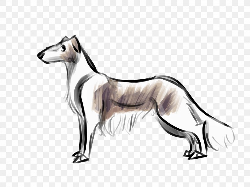 Dog Breed Whippet Italian Greyhound Spanish Greyhound, PNG, 1600x1200px, Dog Breed, Black, Black And White, Breed, Carnivoran Download Free