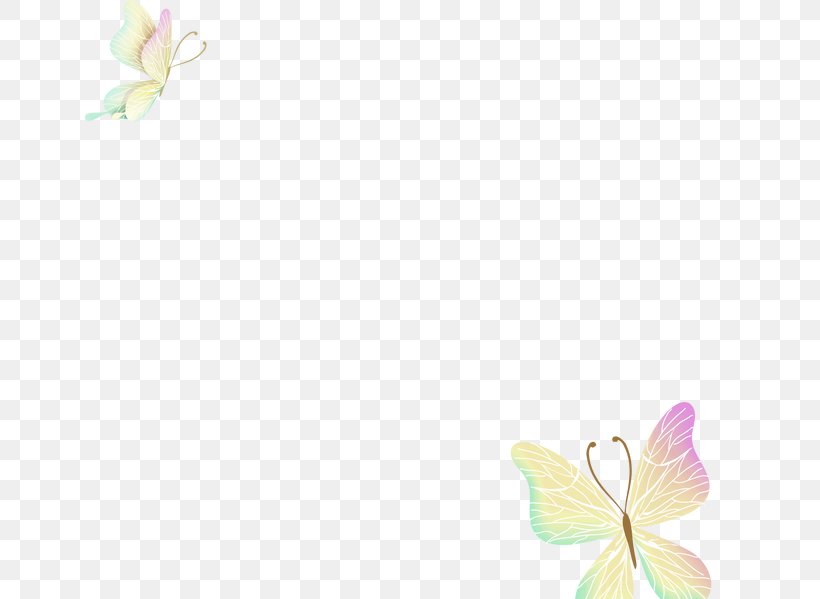 Petal Pattern, PNG, 650x599px, Petal, Pink, Yellow Download Free