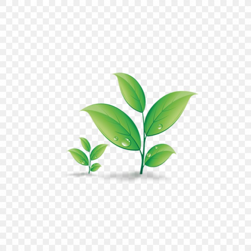 Download, PNG, 1000x1000px, Computer, Grass, Green, Leaf, Plant Download Free
