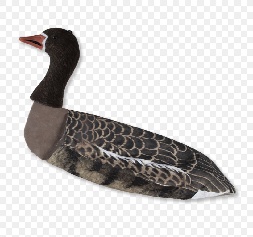 Duck Greylag Goose Lokkefugl Greater White-fronted Goose, PNG, 768x768px, Duck, Beak, Bird, Crow, Decoy Download Free