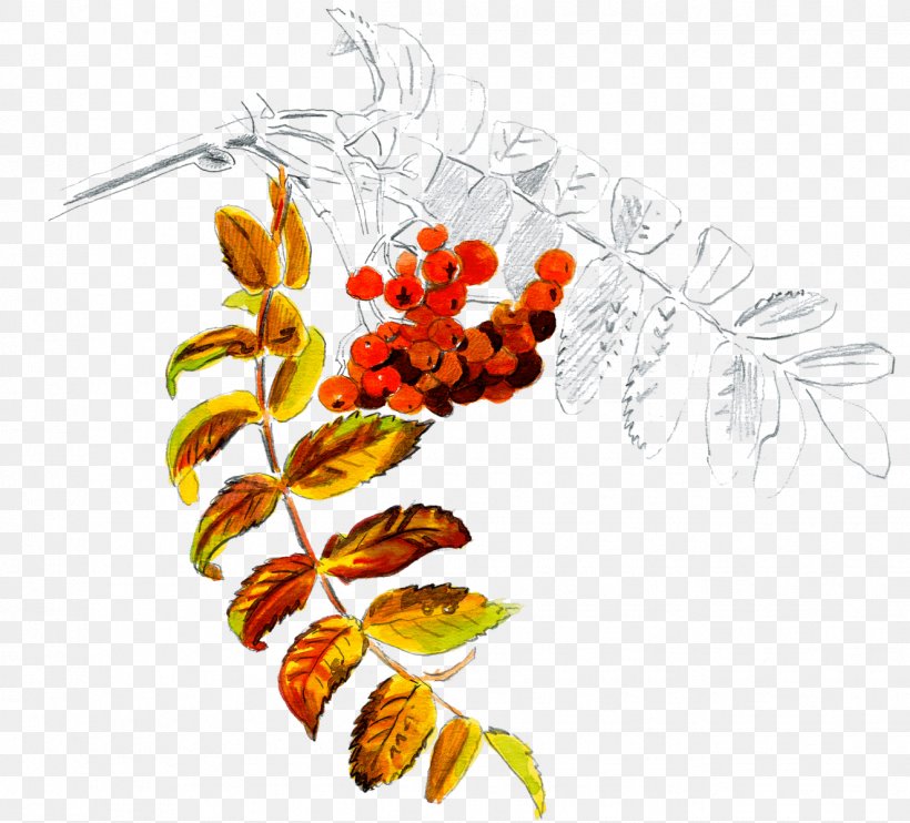 Fruit Leaf Clip Art Plant Stem Design, PNG, 1325x1200px, Fruit, Branch, Flora, Floral Design, Flower Download Free