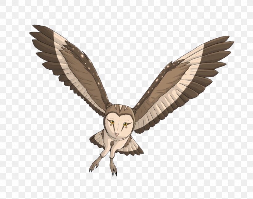 Owl Beak Feather, PNG, 900x706px, Owl, Beak, Bird, Bird Of Prey, Feather Download Free