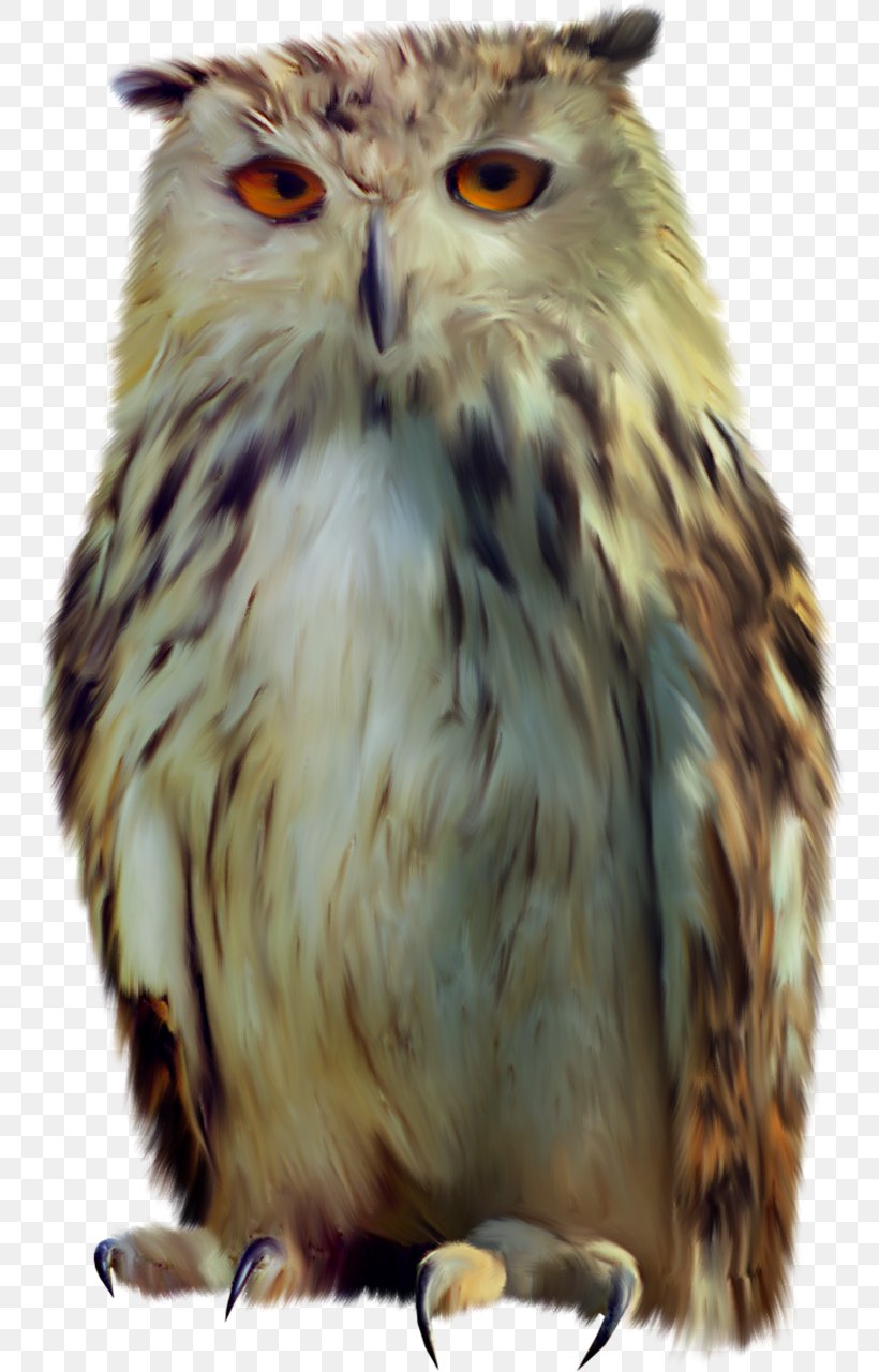 Owl Bird Clip Art, PNG, 760x1280px, Owl, Archive File, Beak, Bird, Bird Of Prey Download Free