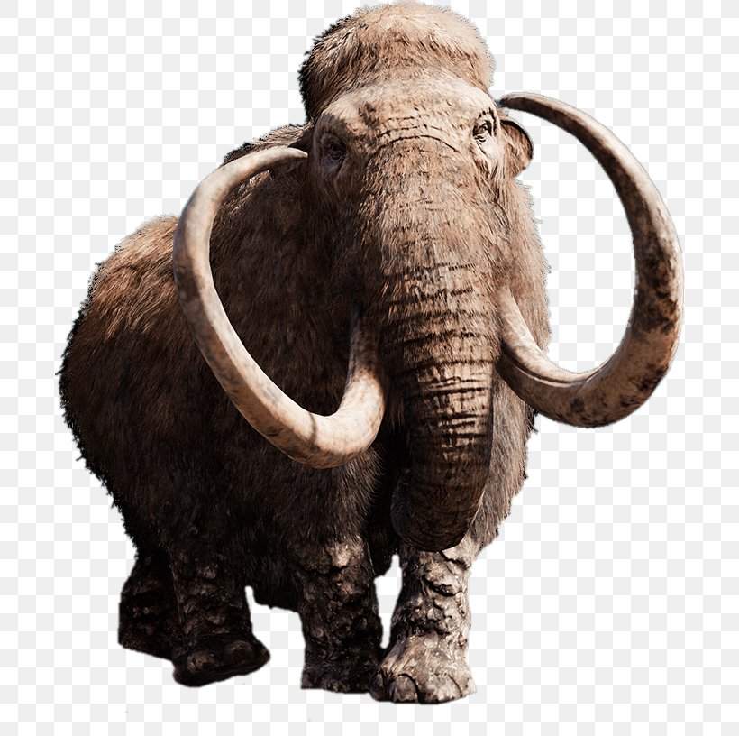 Far Cry Primal Far Cry 4 Woolly Mammoth Far Cry 5 Video Game, PNG, 698x816px, Far Cry Primal, African Elephant, Downloadable Content, Elephant, Elephants And Mammoths Download Free