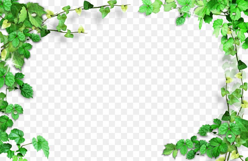 Green, PNG, 4000x2600px, Green, Advertising, Branch, Color, Flora Download Free