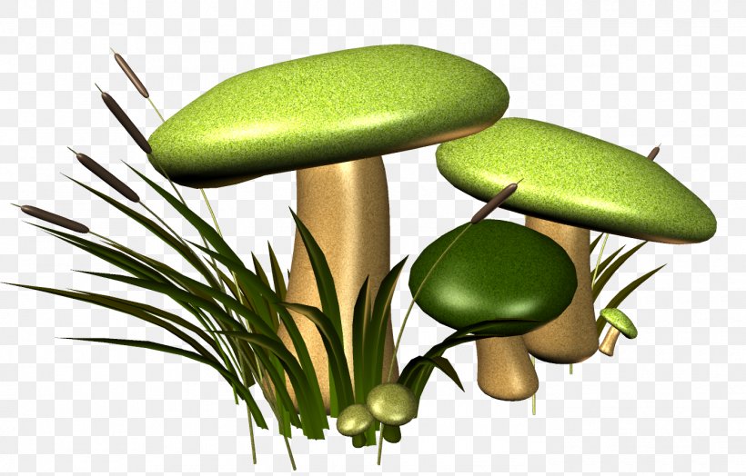 Mushroom Fungus Euclidean Vector Gratis, PNG, 1395x892px, Mushroom, Fungus, Grass, Gratis, Green Download Free