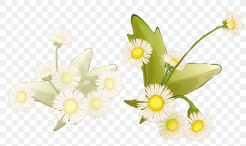 Picture Frame Flower Drawing Clip Art, PNG, 1149x683px, Picture Frame, Color, Cut Flowers, Daisy, Decorative Arts Download Free