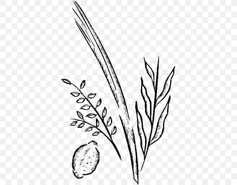 Twig Clip Art Plant Stem Leaf Grasses, PNG, 397x640px, Twig, Art, Artwork, Black And White, Branch Download Free