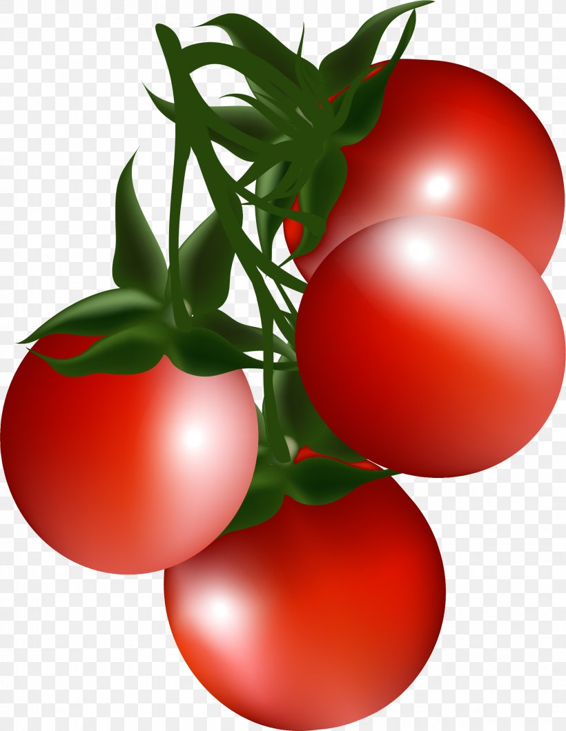 Cherry Tomato Bush Tomato Clip Art, PNG, 1901x2458px, Cherry Tomato, Blog, Bush Tomato, Cherry, Diet Food Download Free