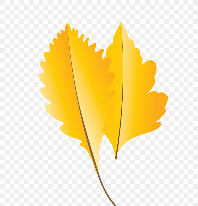 Leaf Yellow M-tree Meter Tree, PNG, 2886x3000px, Autumn Leaf, Biology, Cartoon Leaf, Fall Leaf, Leaf Download Free