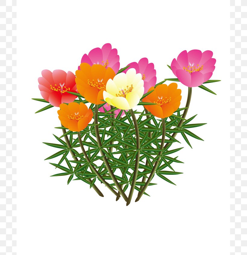 Petal Cut Flowers Clip Art, PNG, 709x849px, Petal, Annual Plant, Cartoon, Color, Cut Flowers Download Free