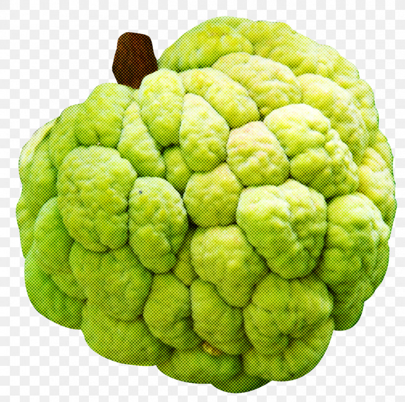 Cauliflower, PNG, 1032x1024px, Plant, Cauliflower, Custardapple, Flower, Food Download Free