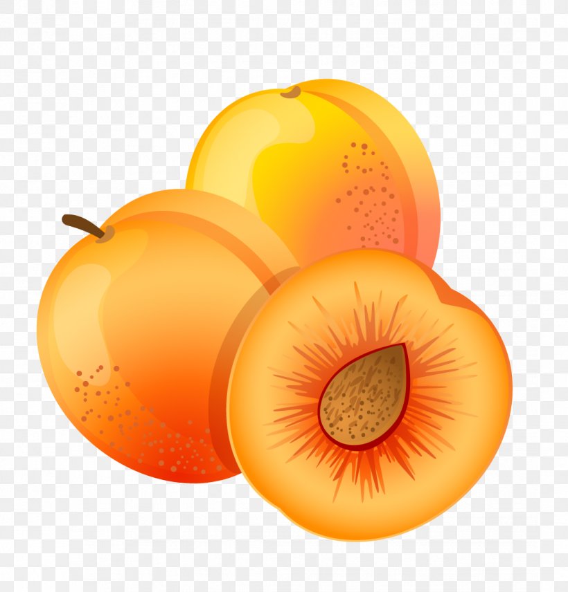 Clip Art Vector Graphics Illustration Drawing, PNG, 1083x1131px, Drawing, Apricot, Diet Food, Food, Fotosearch Download Free