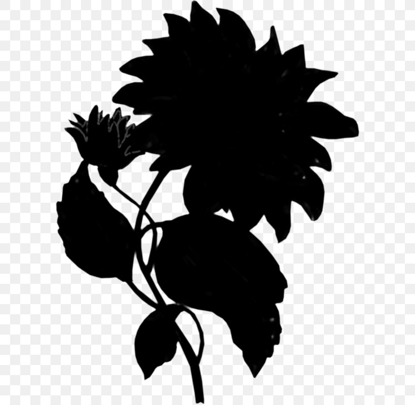 Flower Photograph Image JPEG Silhouette, PNG, 600x799px, Flower, Adobe Lightroom, Blackandwhite, Botany, Daisy Family Download Free