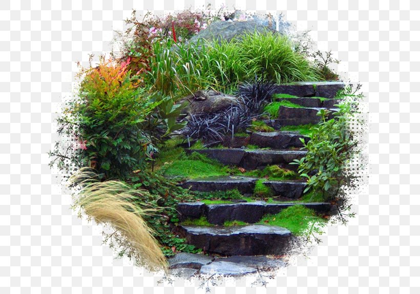 Landscape Design Garden Staircases Photography, PNG, 645x574px, Landscape Design, Aquatic Plant, Architectural Drawing, Architecture, Construction Download Free