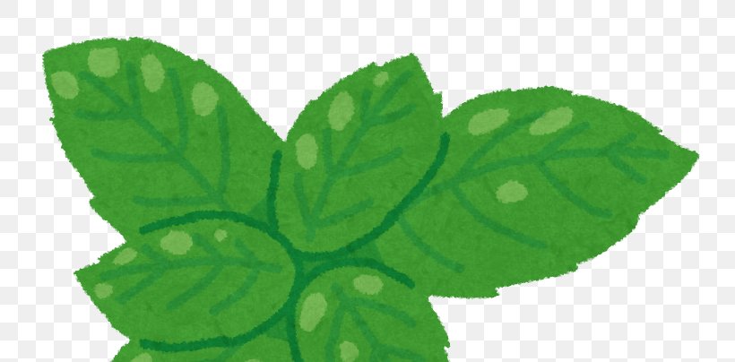 Lemon Basil Herb Leaf Food, PNG, 770x404px, Basil, Food, Grass, Green, Herb Download Free