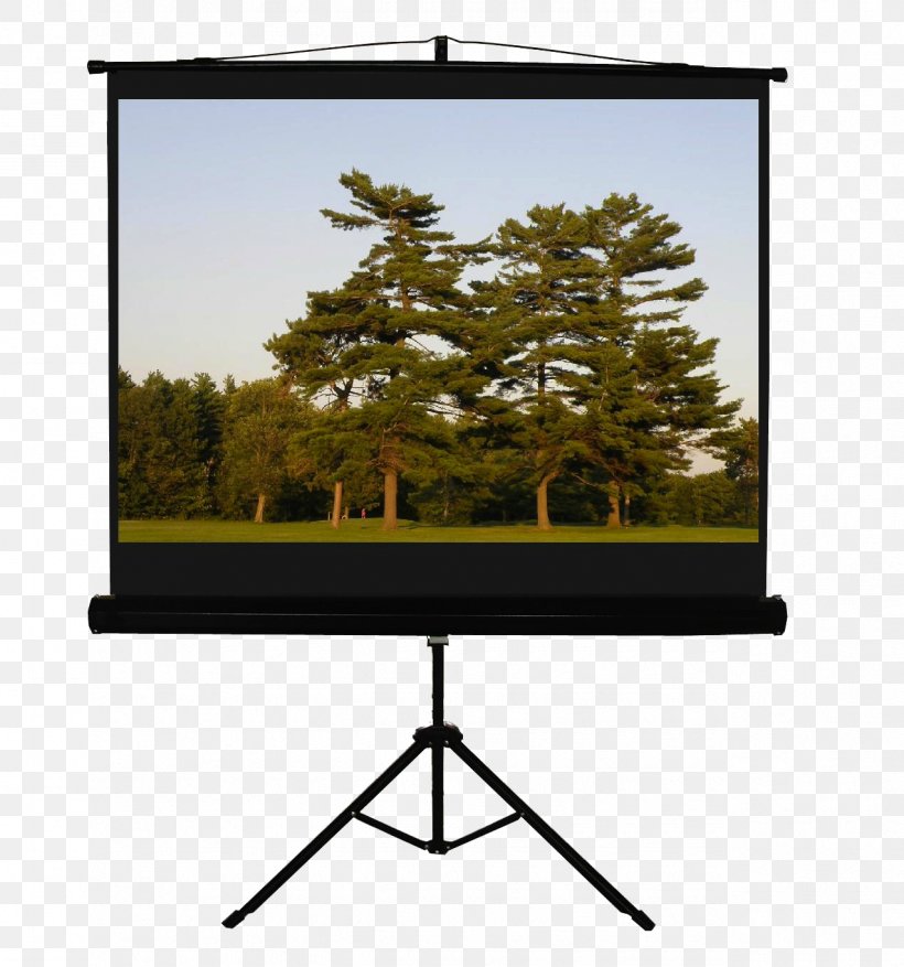 Projection Screens Projector Sumuvalkokangas Tripod Computer Monitors, PNG, 1275x1364px, Projection Screens, Aspect Ratio, Computer Monitor, Computer Monitor Accessory, Computer Monitors Download Free