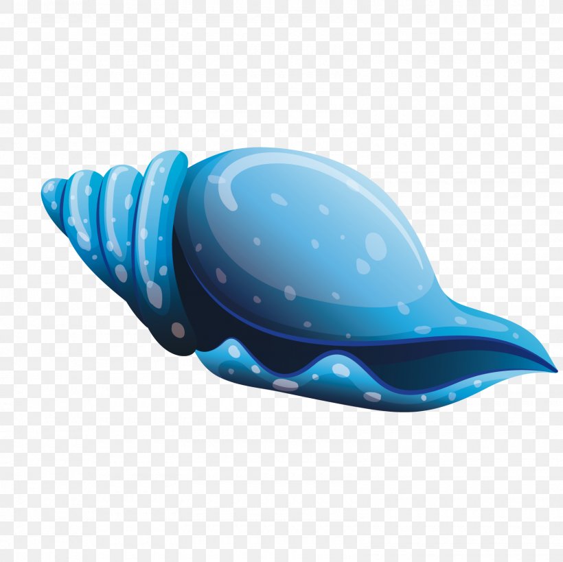 Seashell Sea Snail, PNG, 1600x1600px, 3d Computer Graphics, Seashell, Aqua, Azure, Blue Download Free