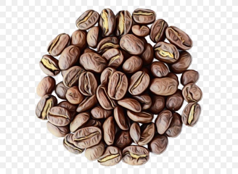 Nuts & Seeds Food Nut Plant Seed, PNG, 600x600px, Watercolor, Food, Java Coffee, Nut, Nuts Seeds Download Free