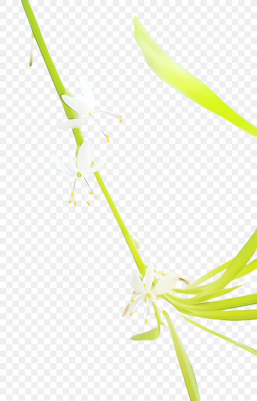 Watercolor Flower, PNG, 1600x2500px, Watercolor, Flower, Grass, Grasses, Leaf Download Free