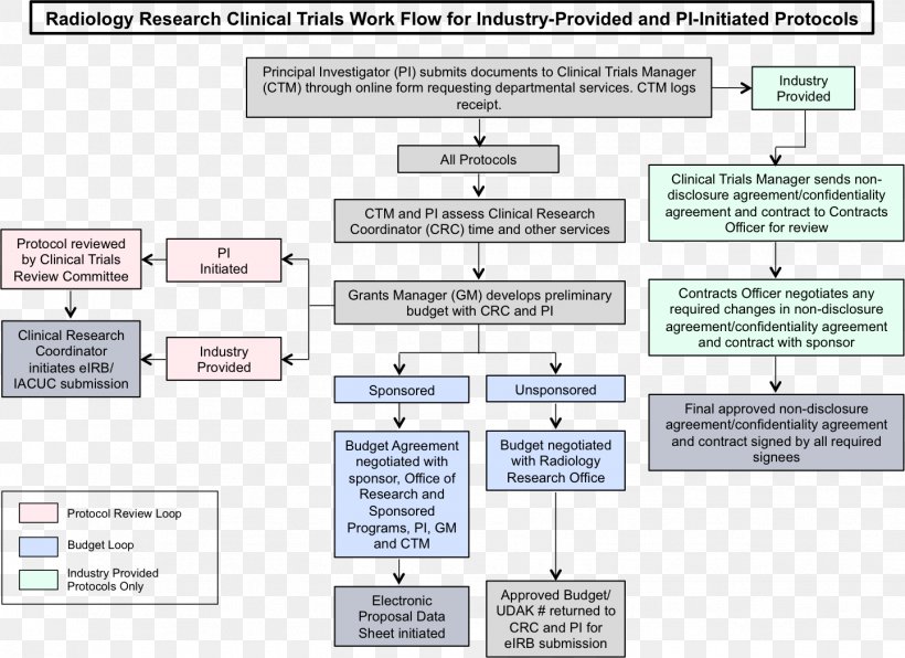 Clinical Research Org Chart