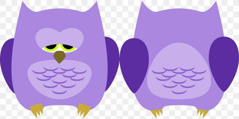 Little Owl Bird Sleep Clip Art, PNG, 1920x960px, Owl, Beak, Bird, Bird Of Prey, Little Owl Download Free