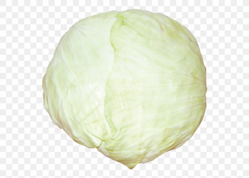 Cabbage, PNG, 1192x852px, Cabbage, Food, Vegetable Download Free