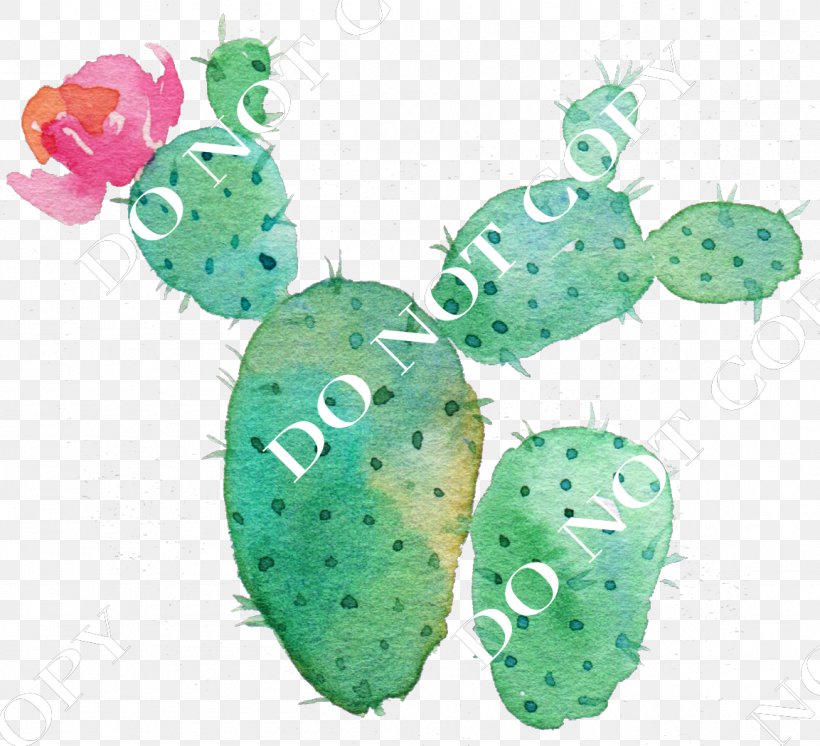 Cactaceae Flower Succulent Plant Watercolor Painting, PNG, 1153x1050px, Cactaceae, Art, Cactus, Caryophyllales, Floral Design Download Free