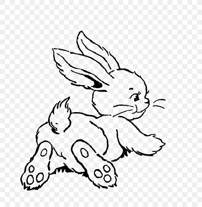 Easter Bunny Line Art Drawing Rabbit Clip Art, PNG, 1020x1045px, Watercolor, Cartoon, Flower, Frame, Heart Download Free