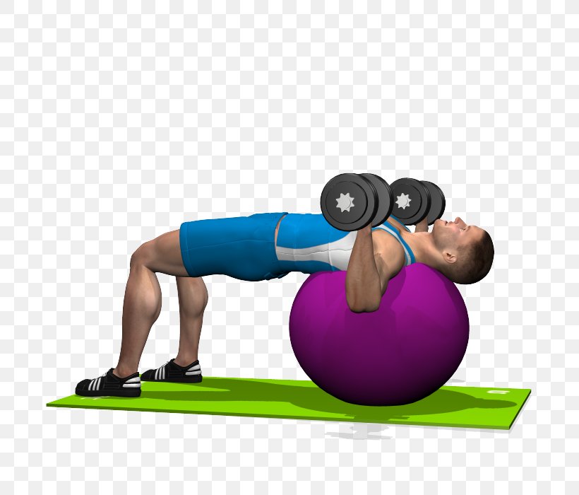 Pilates Medicine Balls Exercise Balls, PNG, 700x700px, Pilates, Abdomen, Arm, Balance, Ball Download Free
