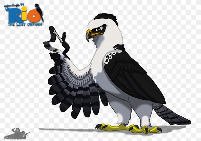 Eagle Vulture Fauna Beak, PNG, 1024x718px, Eagle, Beak, Bird, Bird Of Prey, Fauna Download Free
