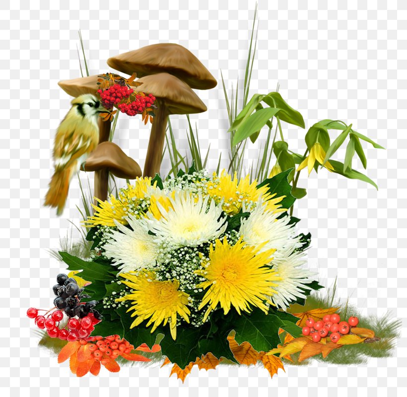 Floral Design Transvaal Daisy Cut Flowers, PNG, 800x800px, Floral Design, Autumn, Chrysanthemum, Common Sunflower, Cut Flowers Download Free