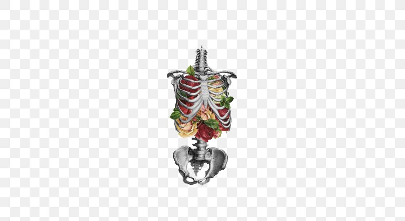 Flower Human Skeleton Lung Anatomy Skull, PNG, 588x448px, Watercolor, Cartoon, Flower, Frame, Heart Download Free