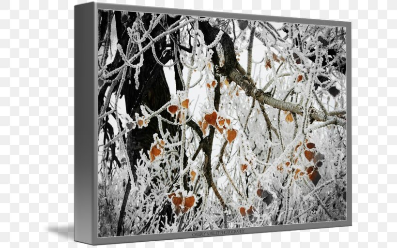 Painting Picture Frames Branching, PNG, 650x513px, Painting, Art, Branch, Branching, Picture Frame Download Free