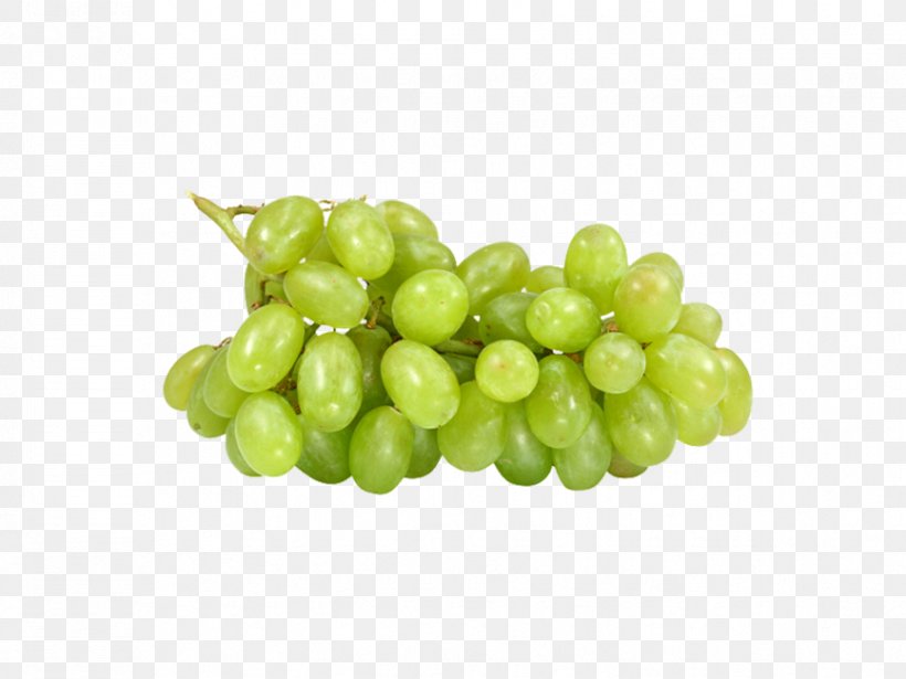 Common Grape Vine Grapefruit, PNG, 866x650px, Common Grape Vine, Carbohydrate, Flower, Flowering Plant, Food Download Free