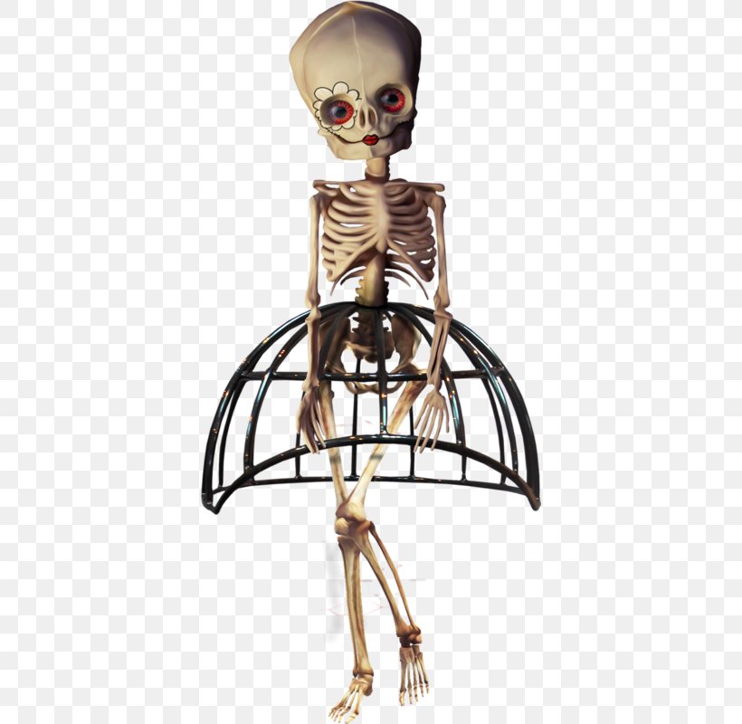 Human Skeleton Halloween Skull, PNG, 376x800px, Skeleton, Animal, Animation, Exoskeleton, Festival Download Free