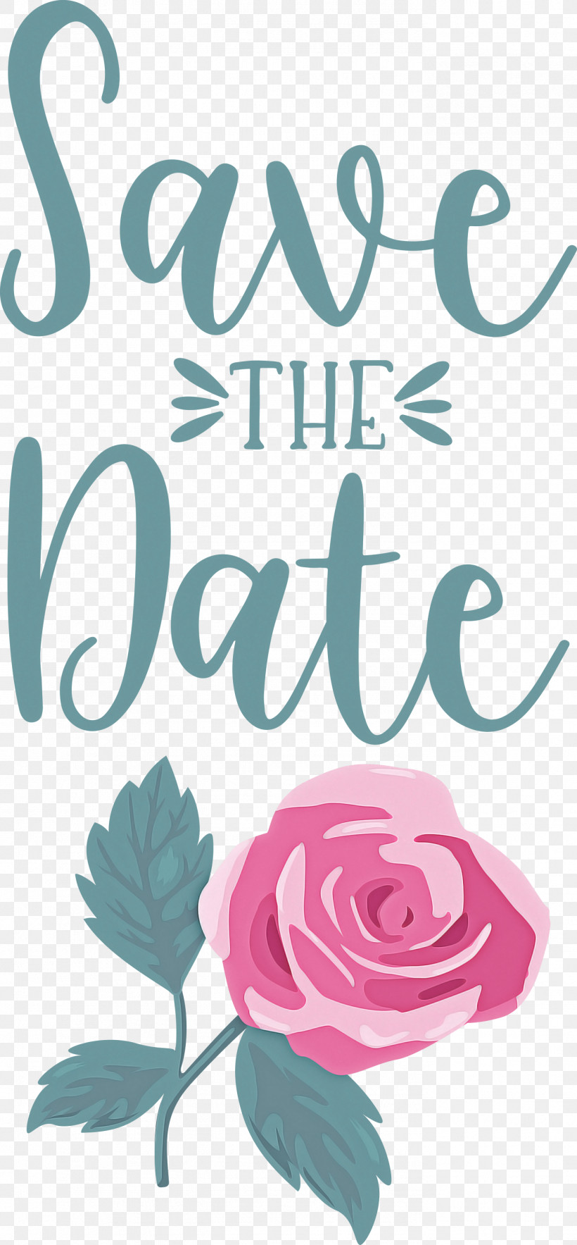 Save The Date Wedding, PNG, 1392x3000px, Save The Date, Floral Design, Meter, Petal, Rose Download Free
