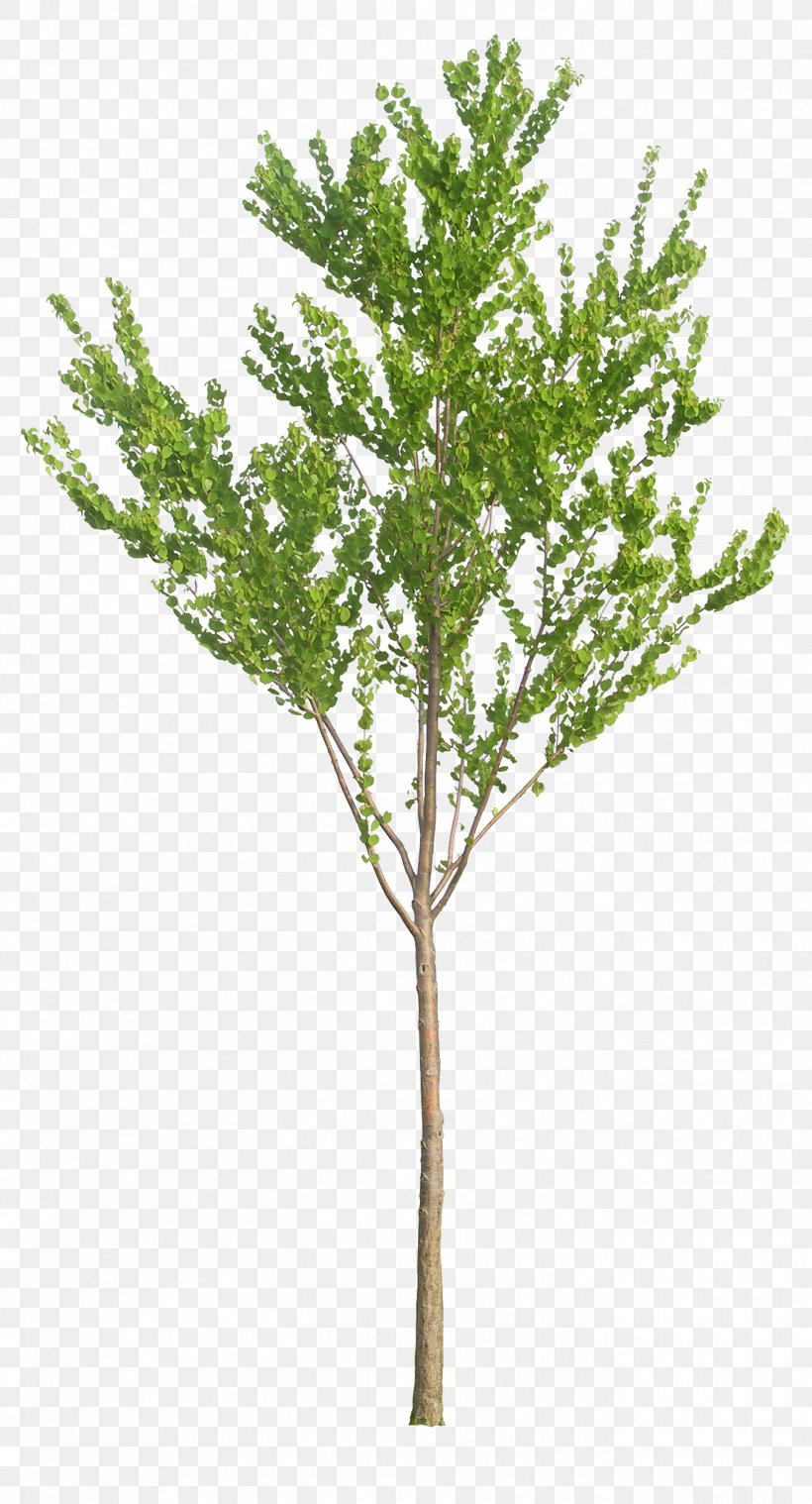 Tree Baby's-breath Artificial Flower Plant, PNG, 1350x2500px, Tree, Artificial Flower, Branch, Floral Design, Flower Download Free